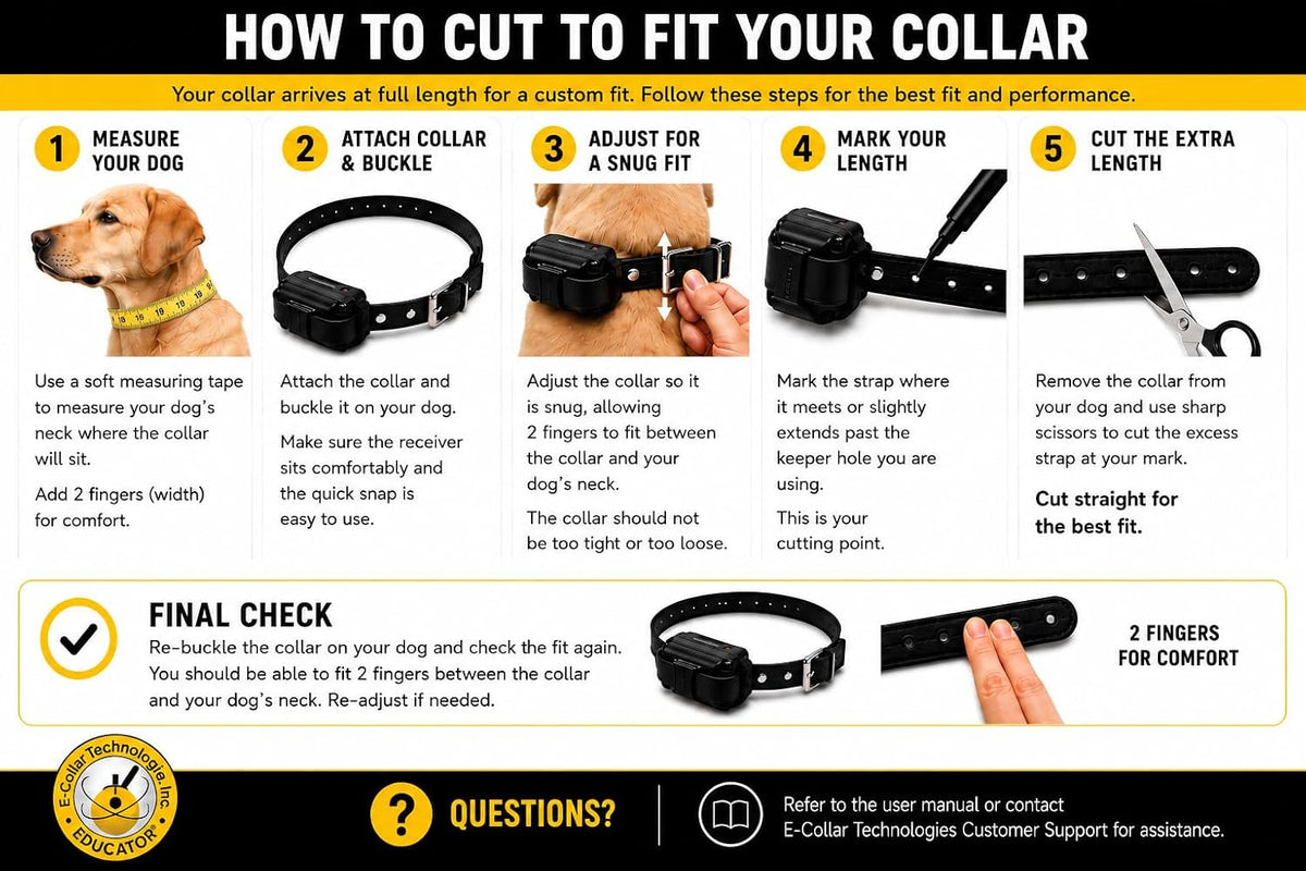 E-Collar Mini  ET-300 Remote Dog Training Collar, ZEN