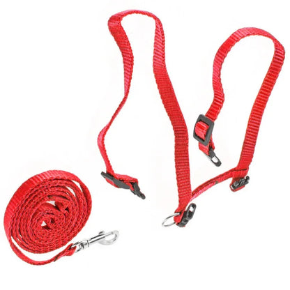Cozy Paws Adjustable Cat Harness With Leash - Blue