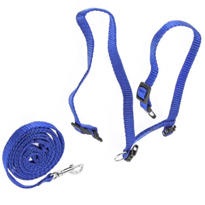 Cozy Paws Adjustable Cat Harness With Leash - Blue