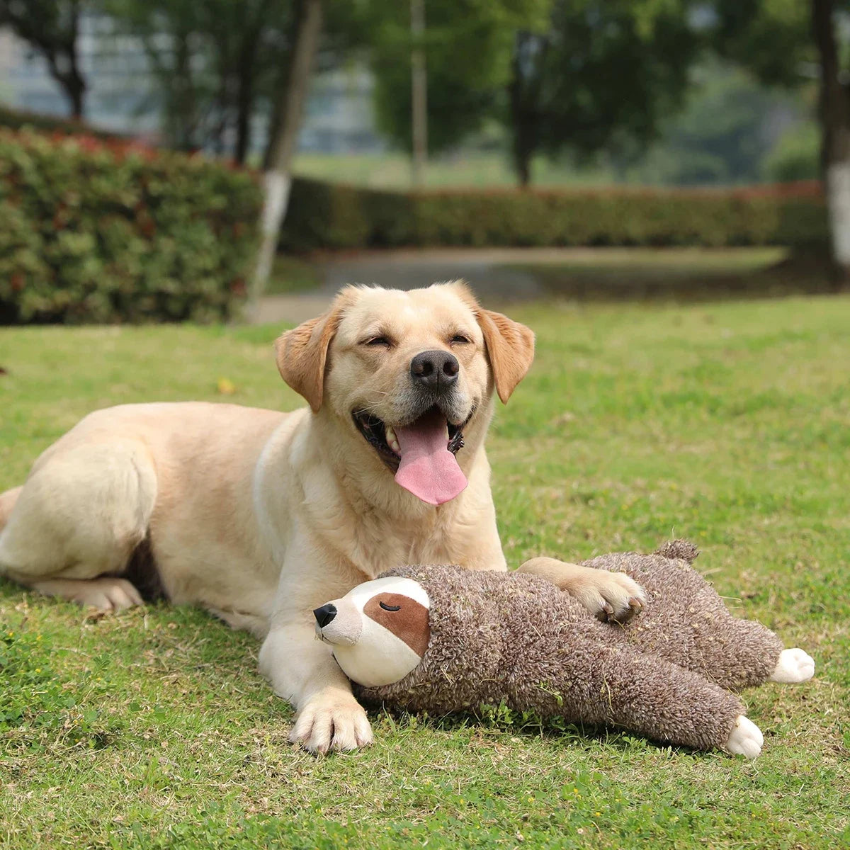 Heartbeat Plush Dog Toy – Calming Snuggle Companion for Puppies and Anxious Dogs