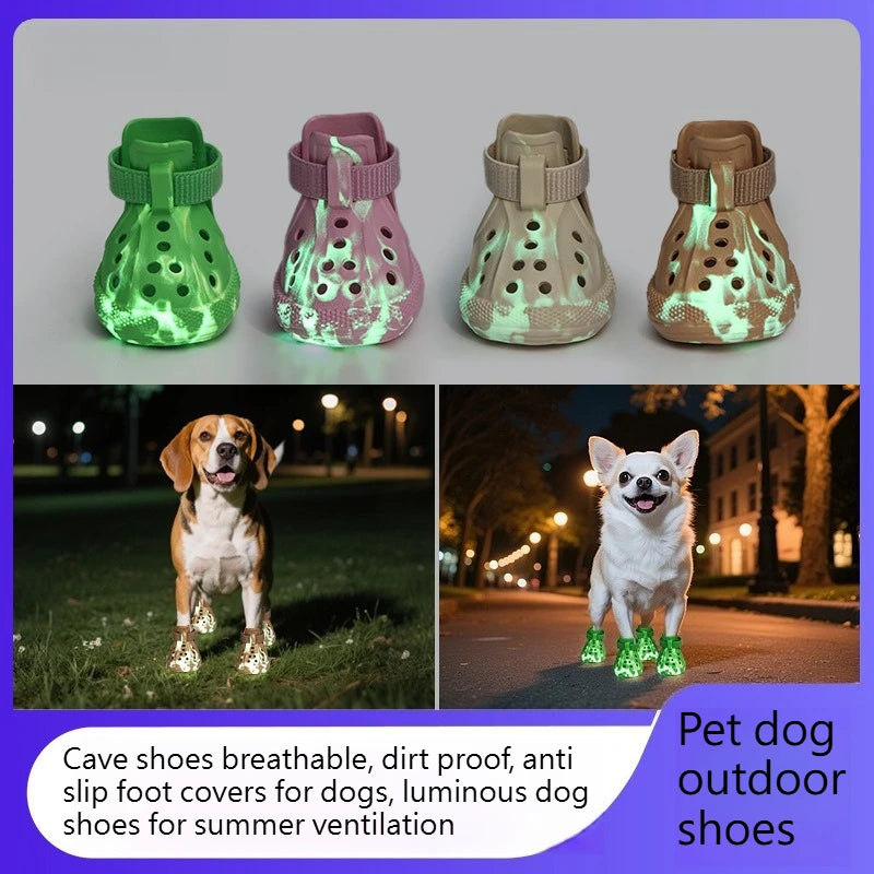 LightPaws™ Shoes 🐶💡 — Bright Steps, Soft & Secure